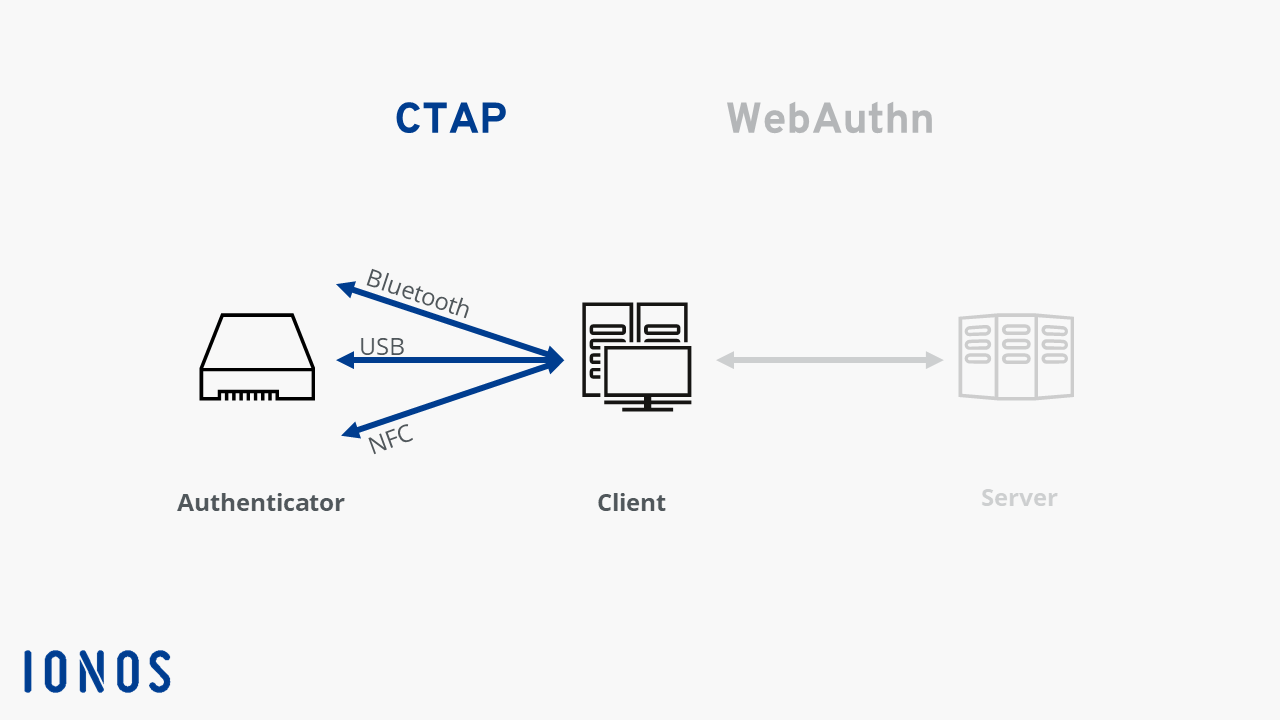 Schematic depiction of CTAP