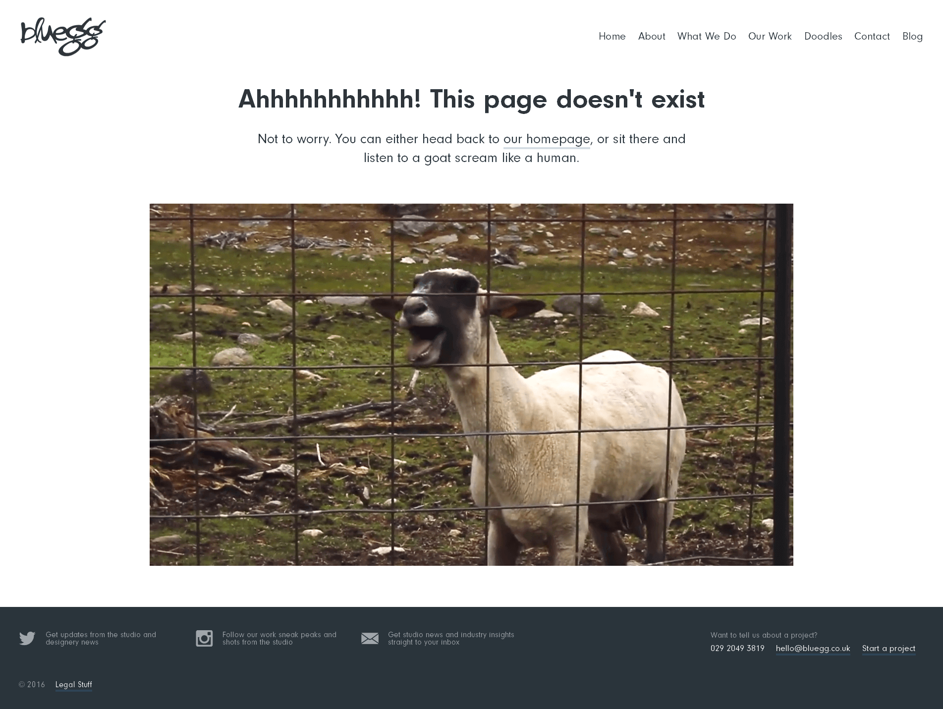404 page for Bluegg