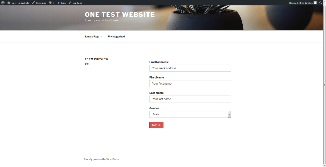 Preview of the self-designed registration form