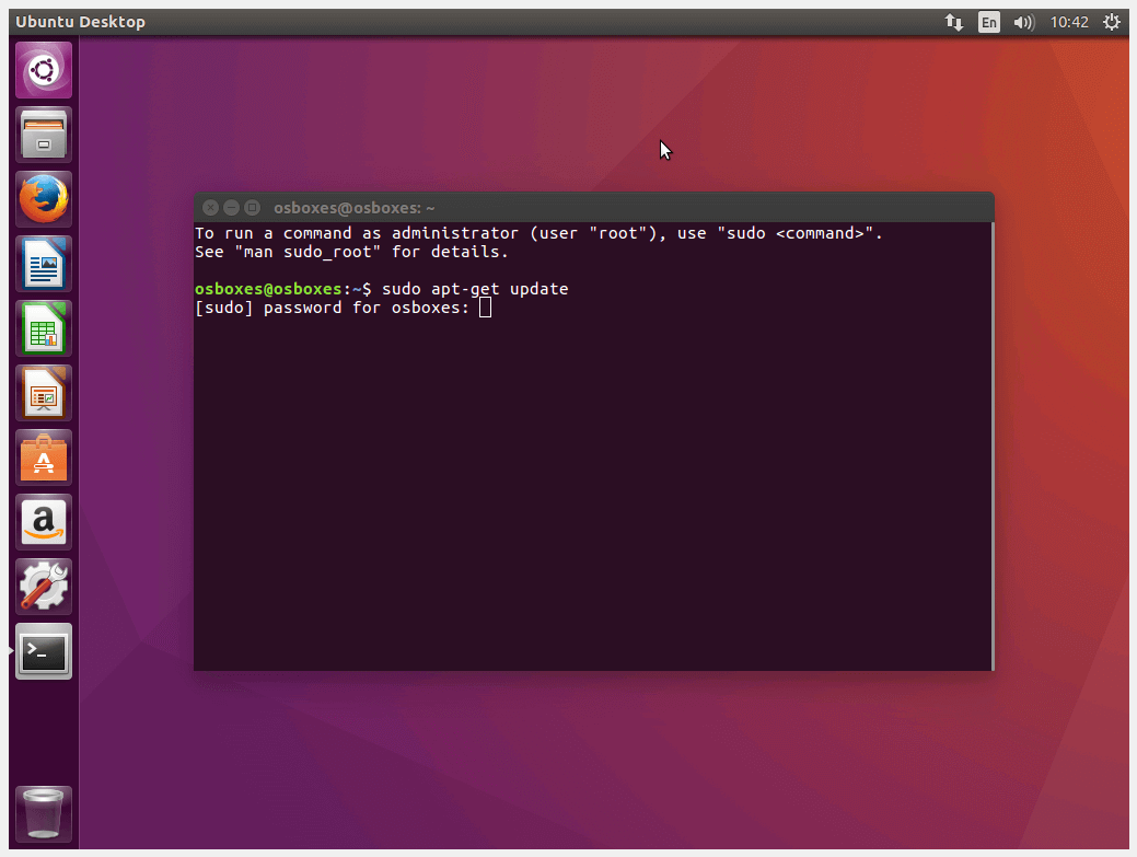 Password prompt in the Ubuntu terminal