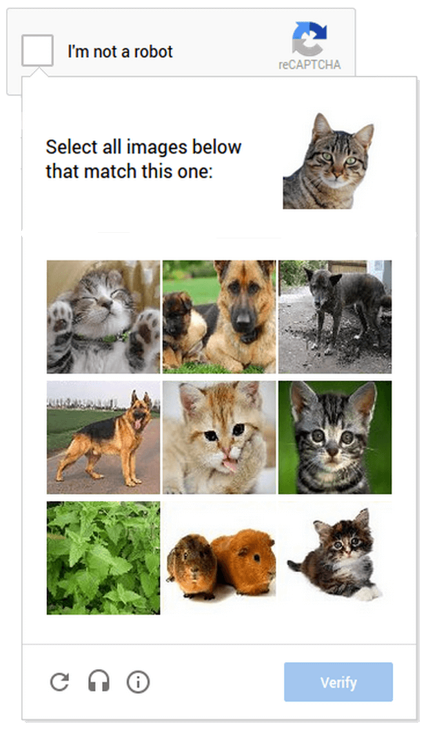 An image-based captcha from Google