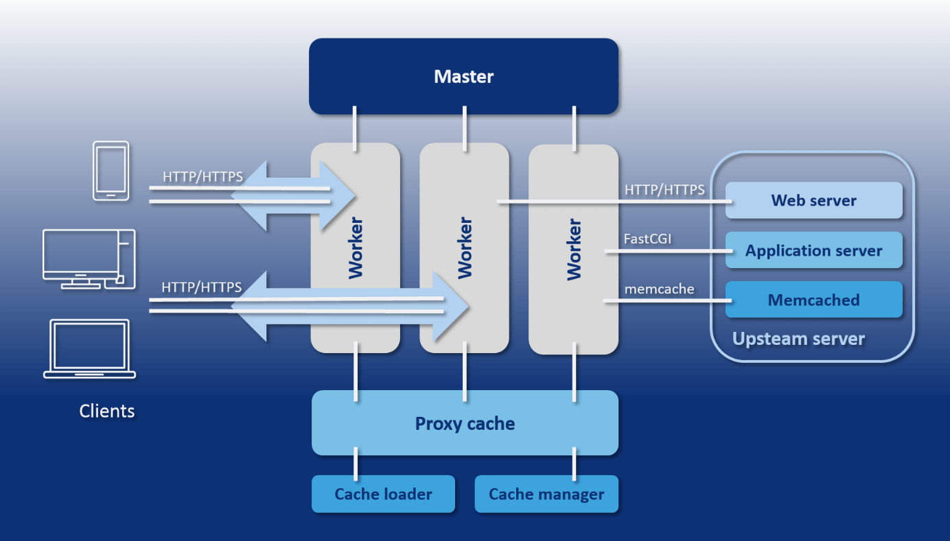 Schematic representation of the NGINX architecture