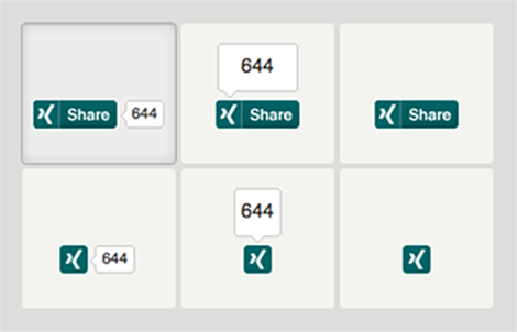 The Xing Share button in different formats