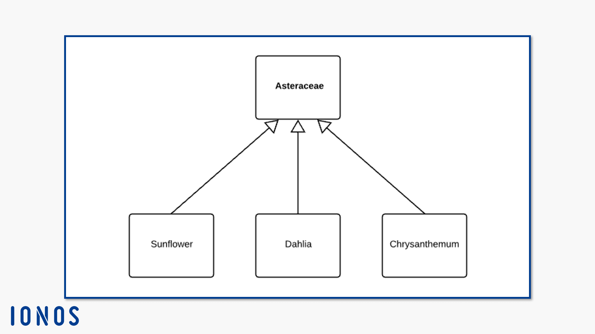 Generalization of the sunflower, dahlia, and chrysanthemum subclasses to the daisy superclass.