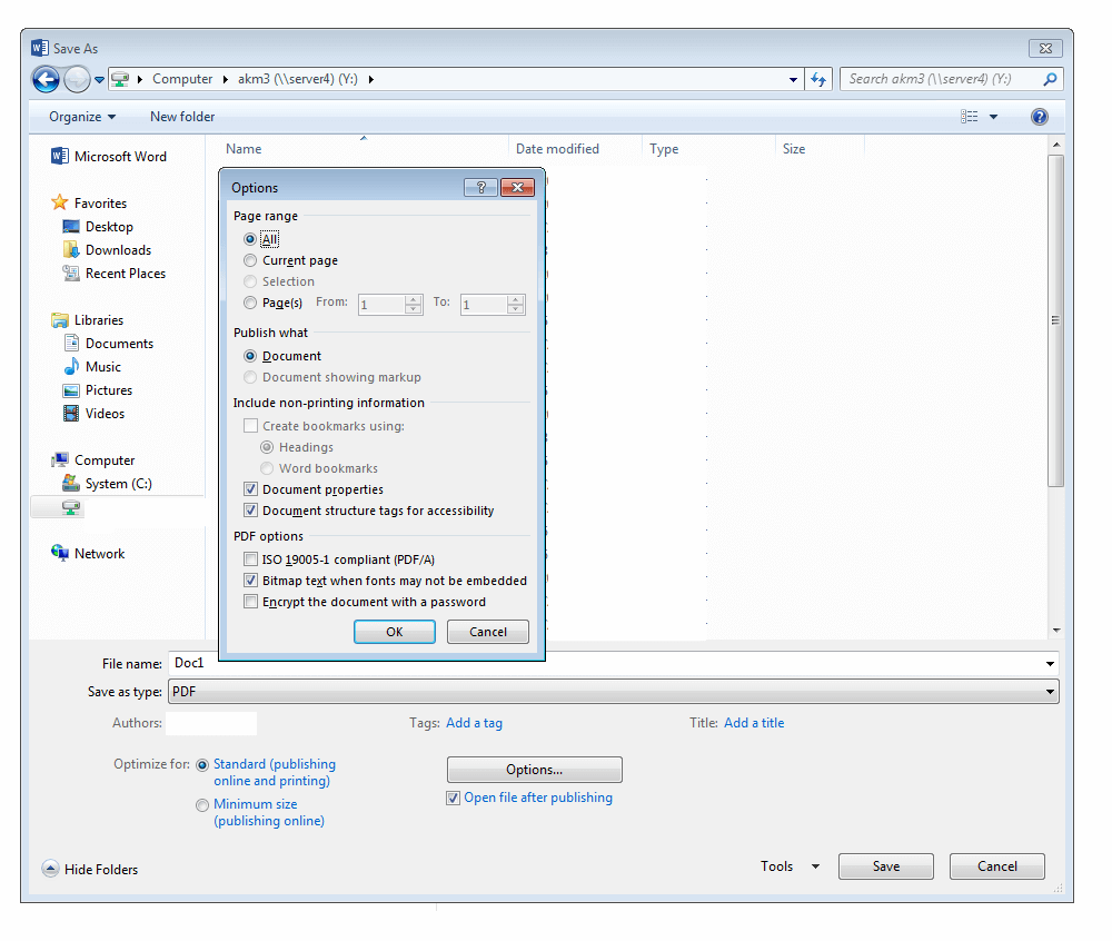 ‘Options’ menu for PDFs in Word