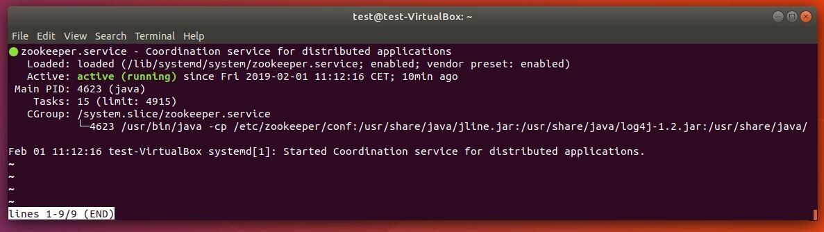 Ubuntu terminal: returned output from the active ZooKeeper service