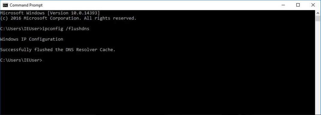 Windows 10: a DNS flush via the command prompt window