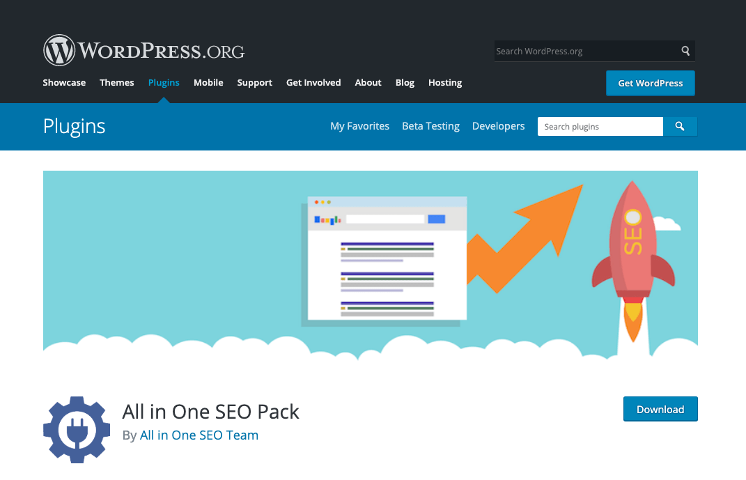All in One SEO Pack plug-in, available from WordPress.org