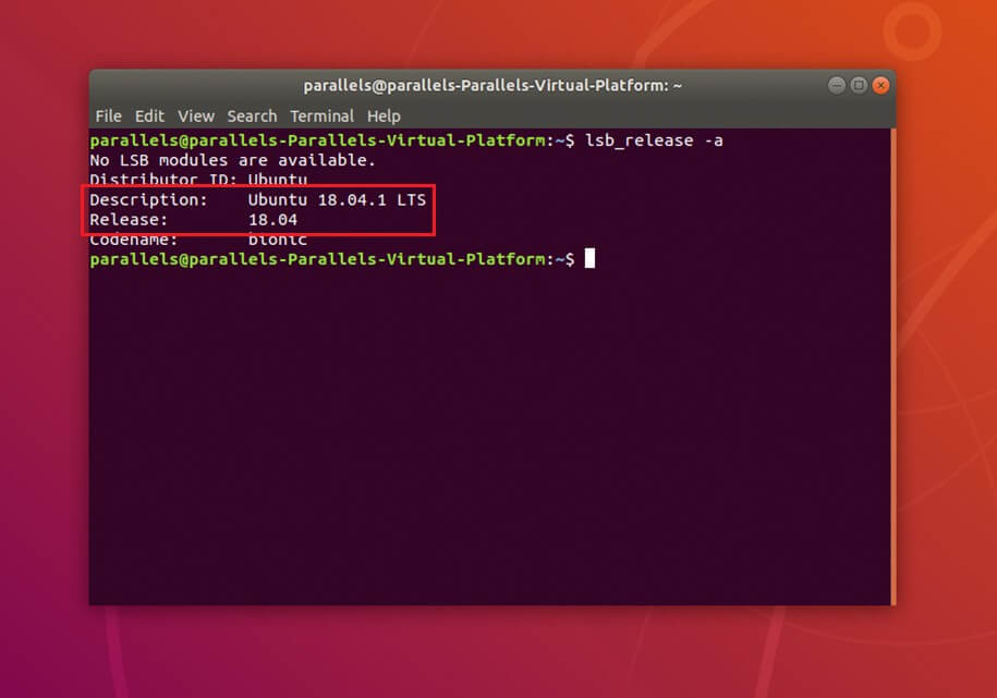 ubuntu open in terminal