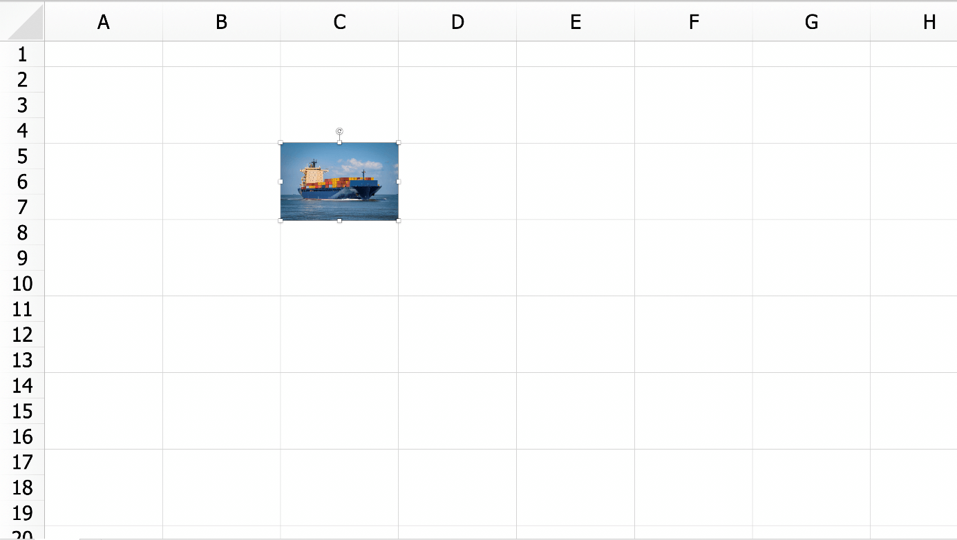 A picture in Excel adjusted to the cell size