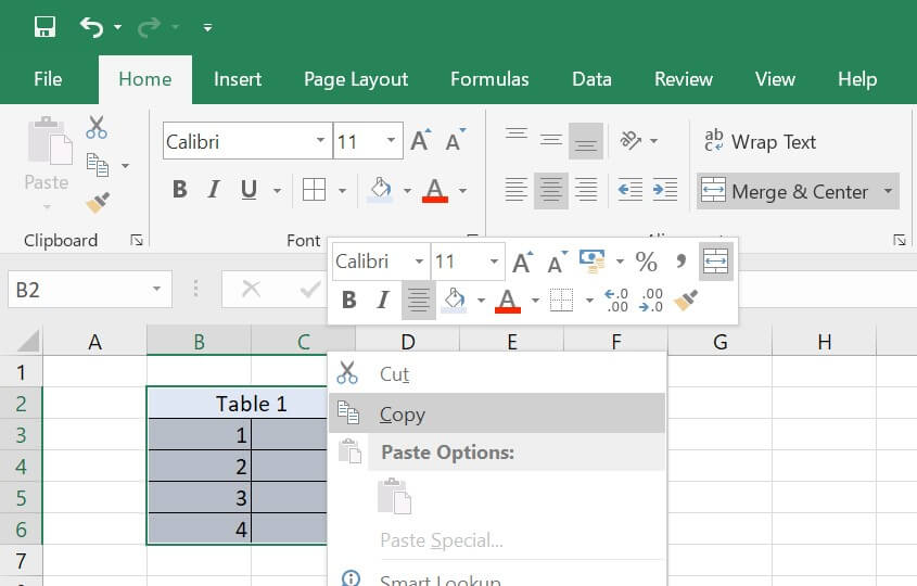 Selecting and copying an Excel worksheet