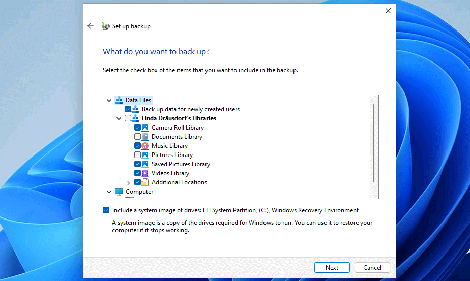 Windows 11 backup: Choice of files to backup