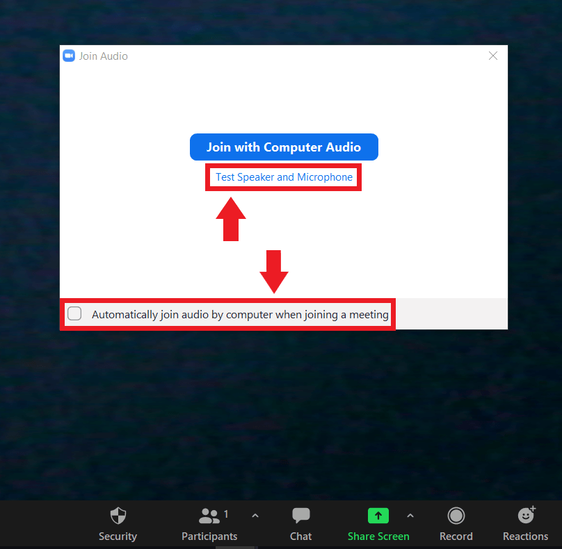 zoom presentation audio not working