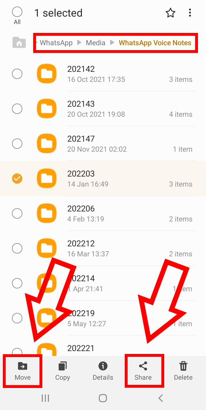 Android screenshot of the “WhatsApp Voice Notes” folder with selected files to move or share