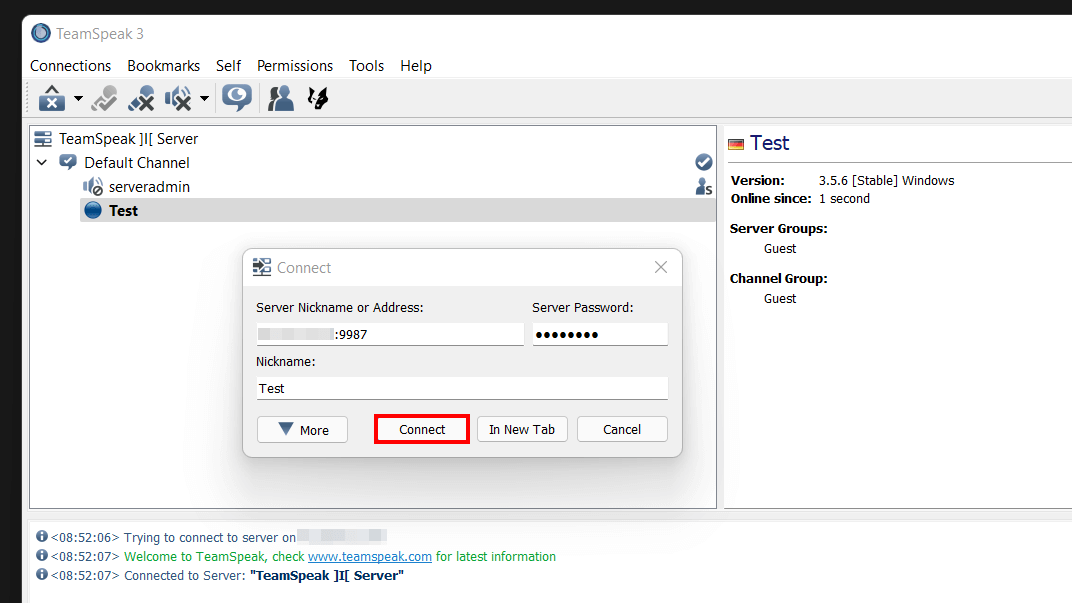 Connecting to the created TeamSpeak server