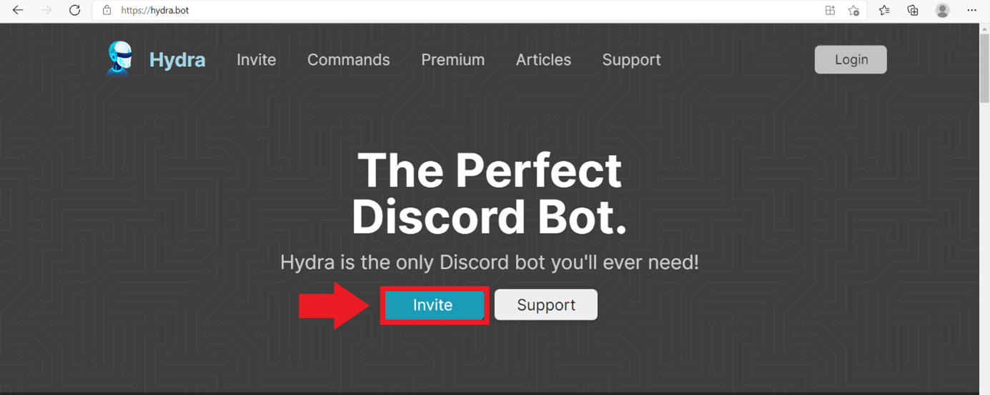 Click on “Invite” to add the music bot to your server