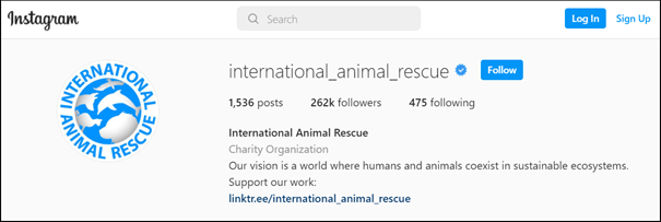 Example of an Instagram bio: International Animal Rescuecue