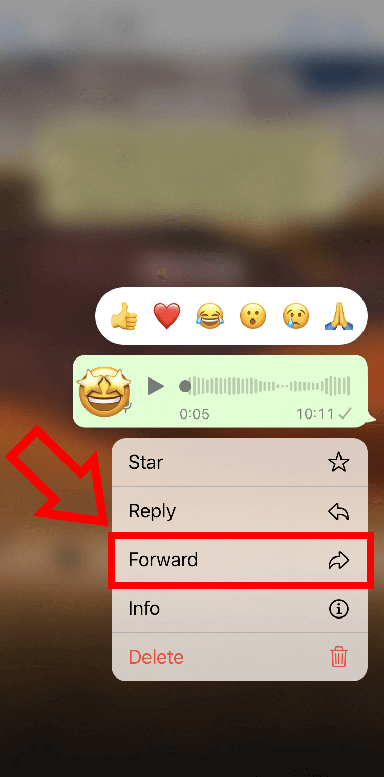 iPhone screenshot of the “Forward” option in WhatsApp