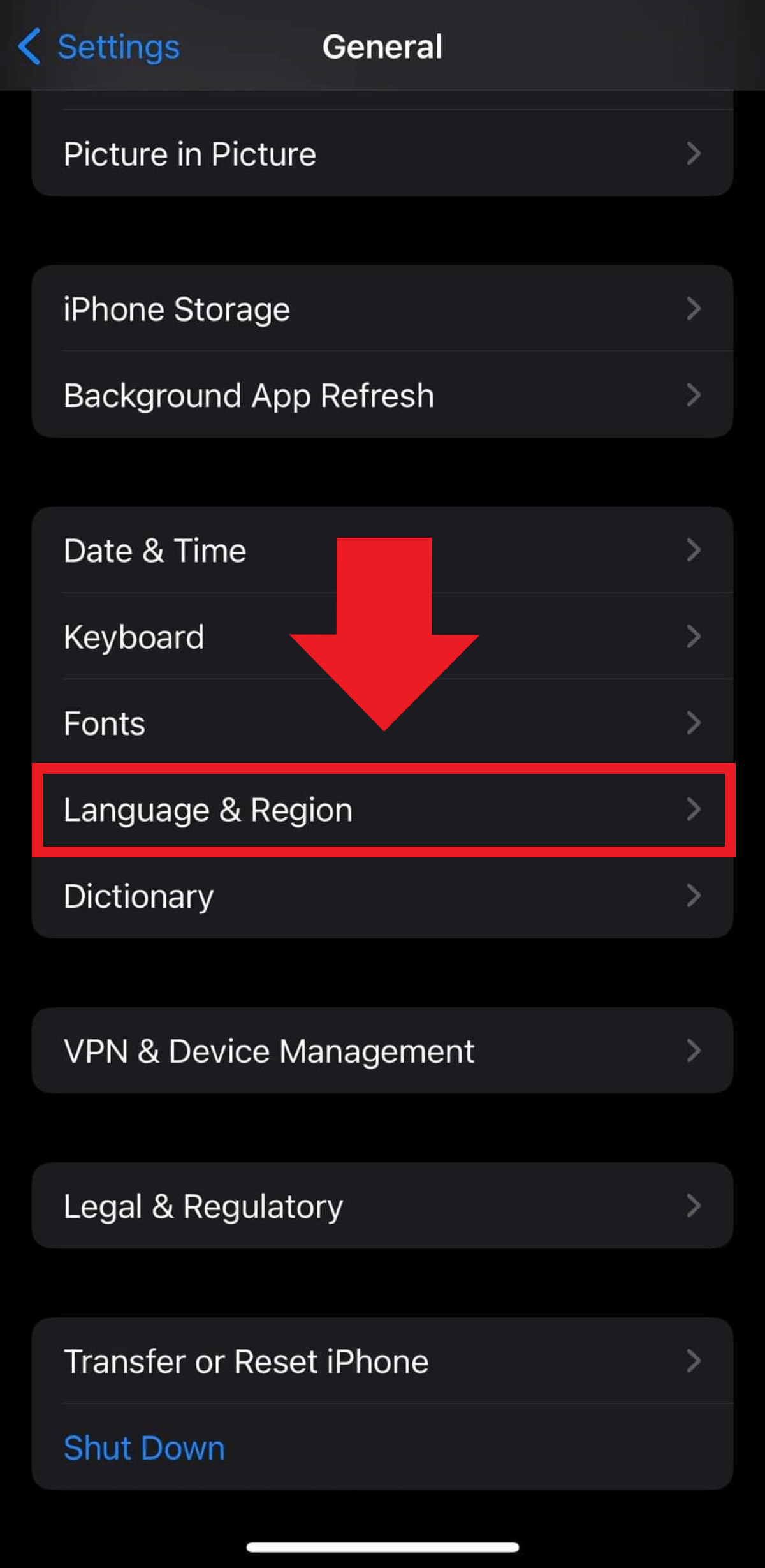The “Language & Region” item in the iOS settings