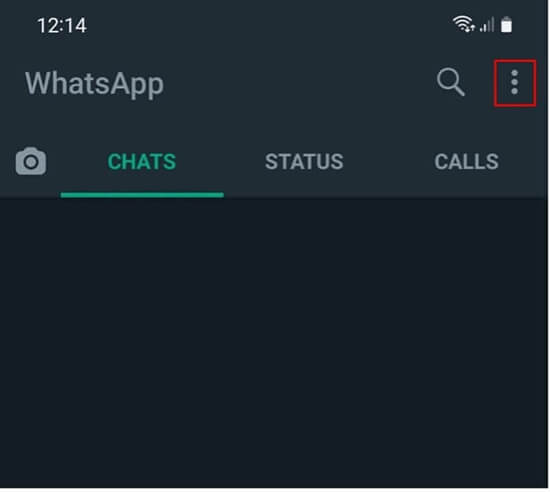 How to start a WhatsApp video call - IONOS CA