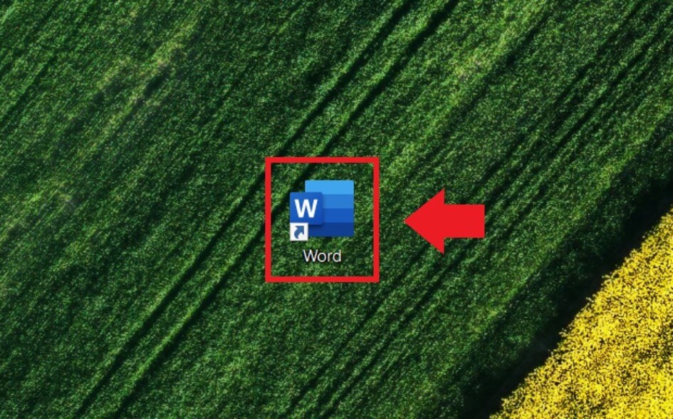 The program icon of a desktop shortcut to Microsoft