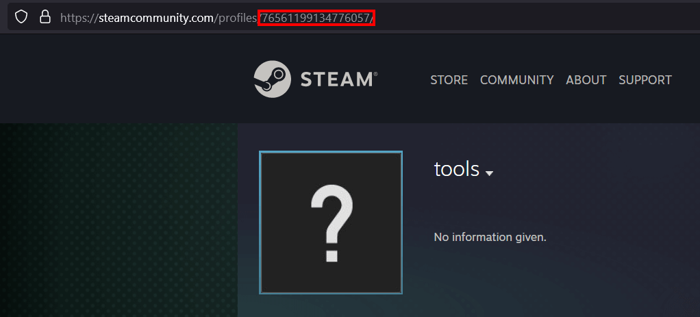 How to find your Steam ID - IONOS CA