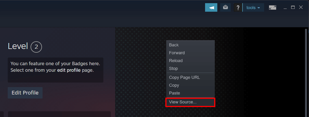 How to find your Steam ID - IONOS CA