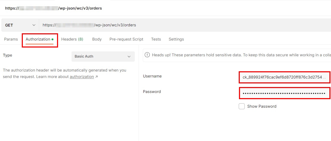 Screenshot of Authorization page in Postman