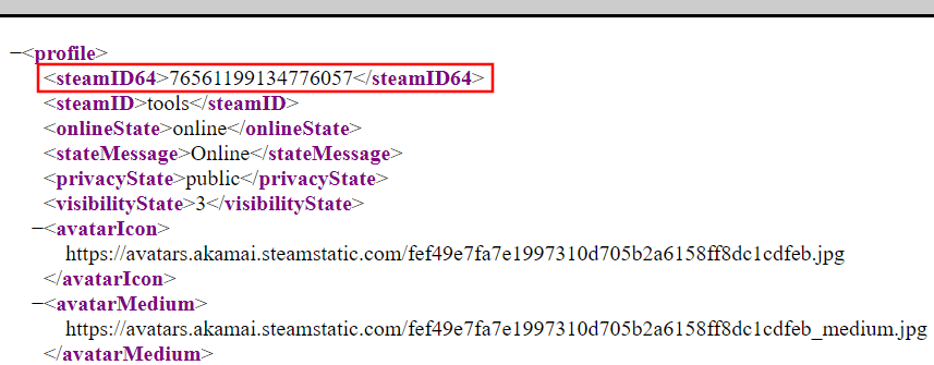 How to find your Steam ID - IONOS CA