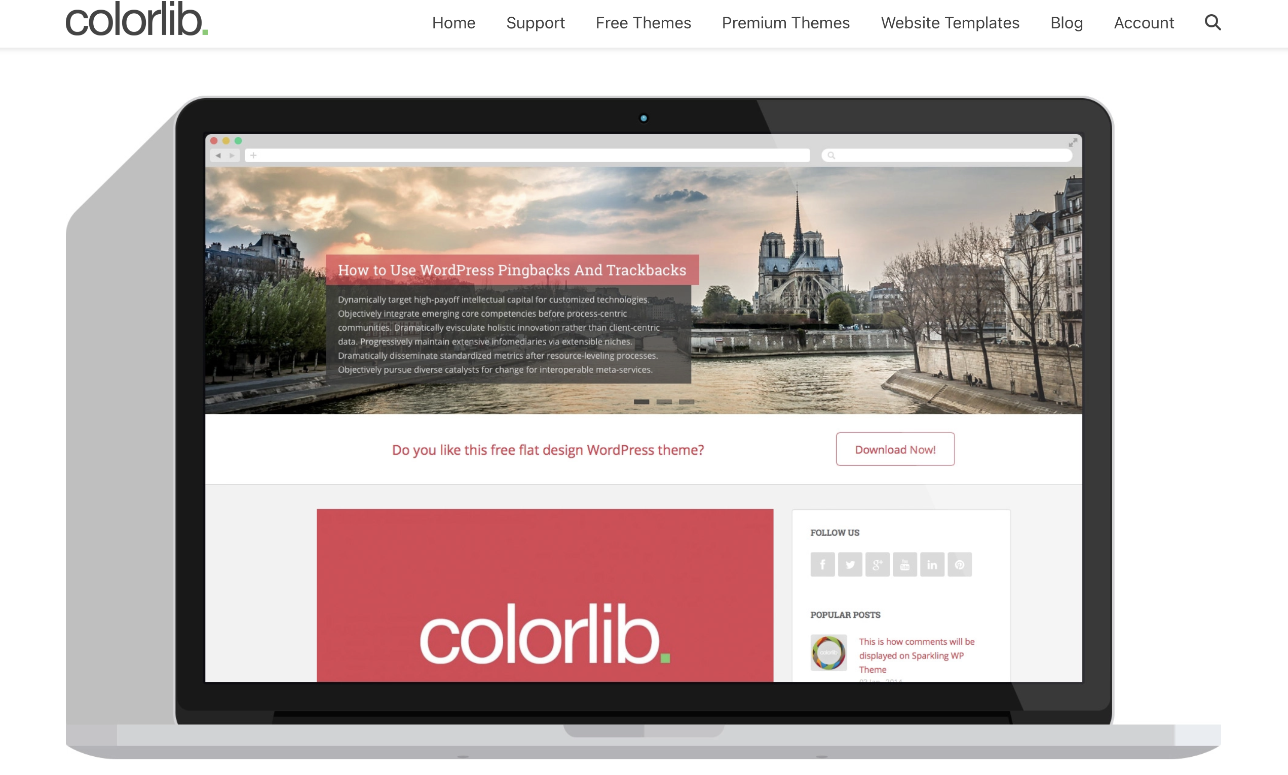 Website of Sparkling developer Colorlib Image: Website of Sparkling developer Colorlib