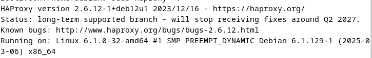 Screenshot of the current HAProxy version in the terminal Image: Screenshot of the current HAProxy version in the terminal