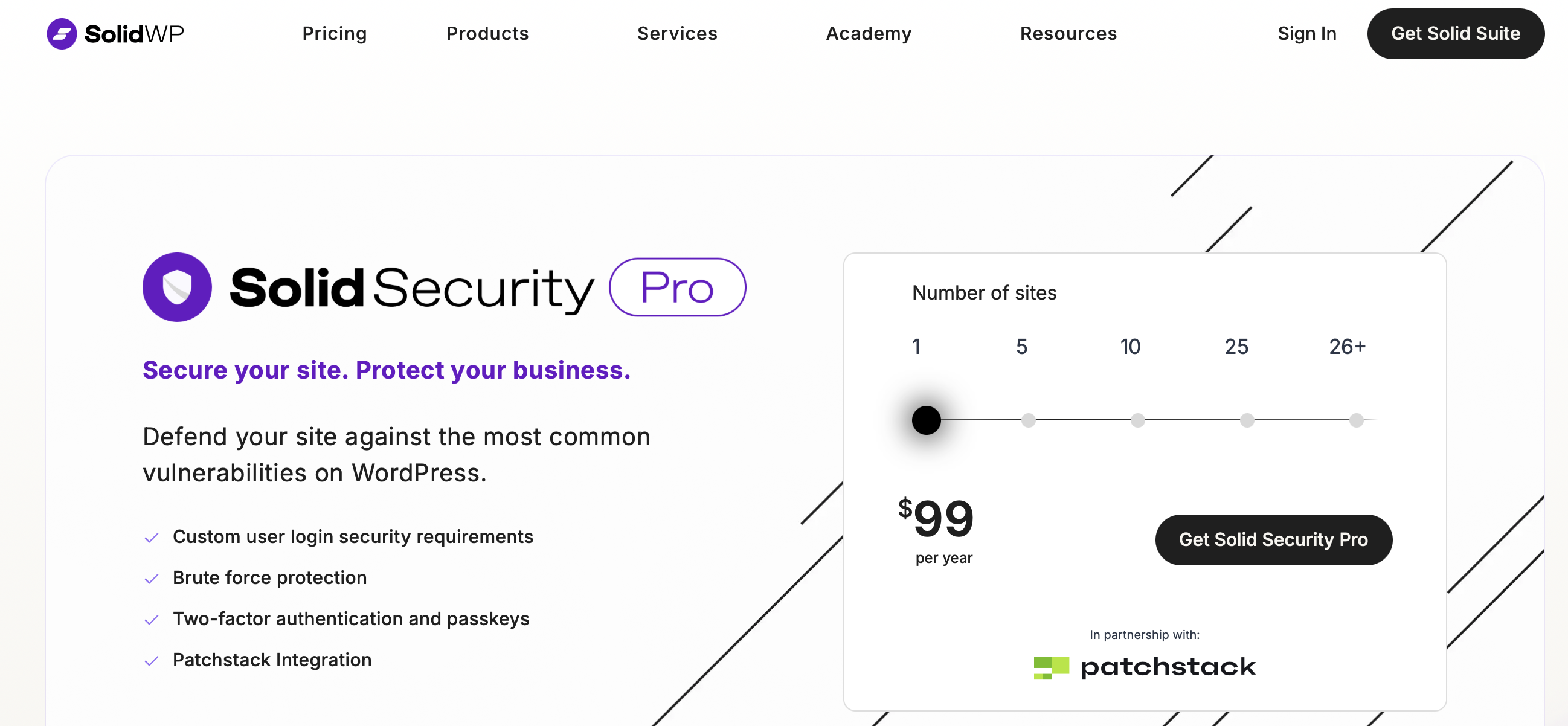 Security Pro website Image: Security Pro website