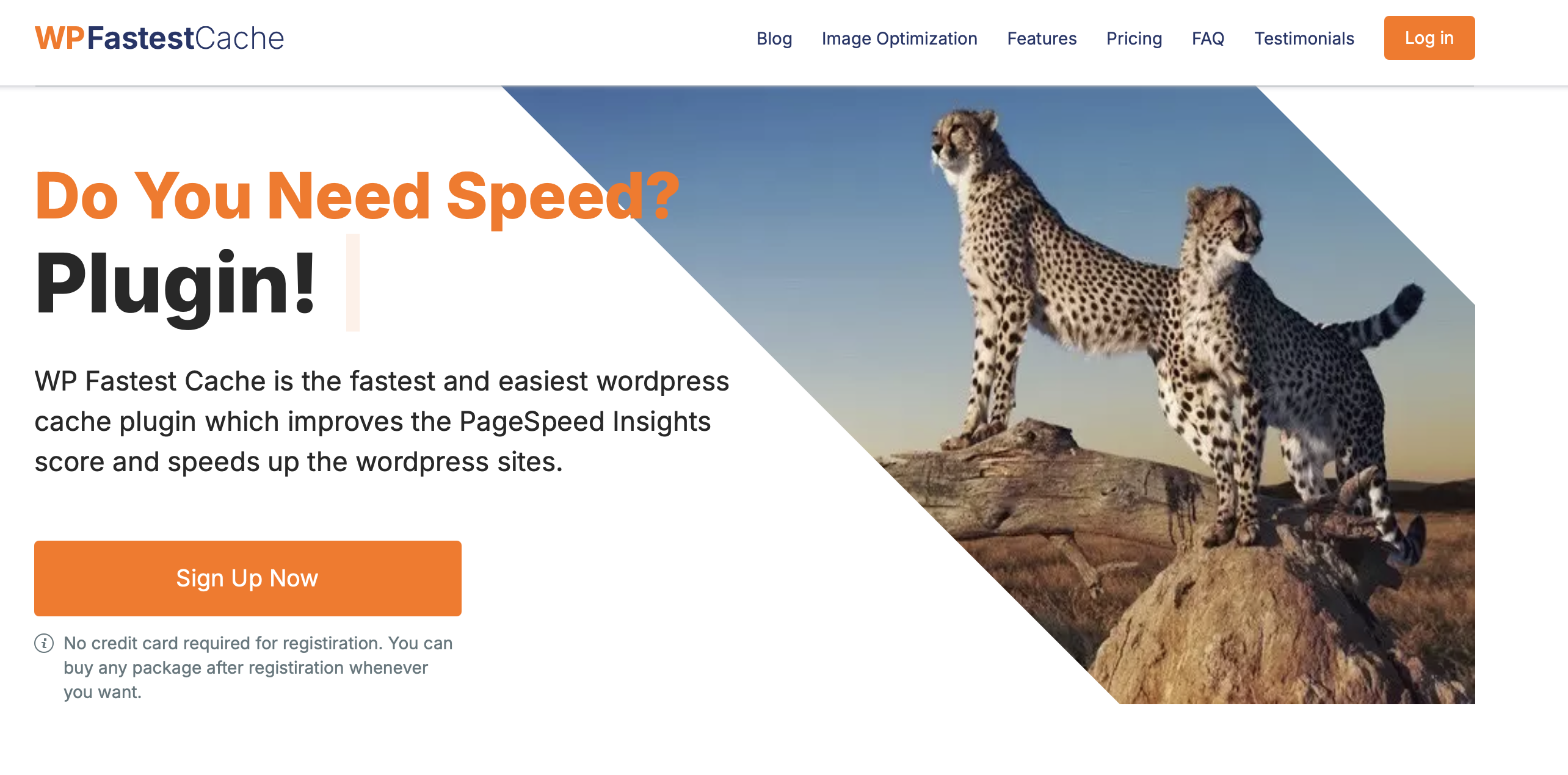 Screenshot of WP Fastest Cache website Image: Screenshot of WP Fastest Cache website