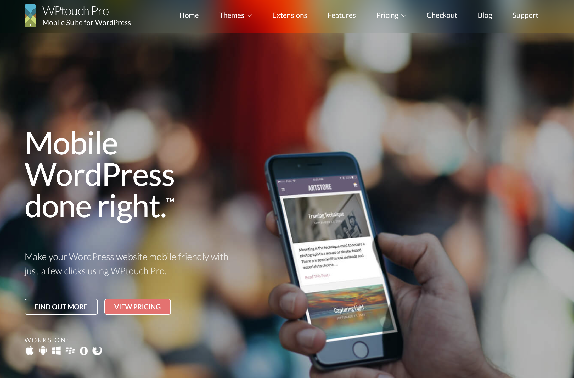 Screenshot of the WPtouch Pro website Image: Screenshot of the WPtouch Pro website