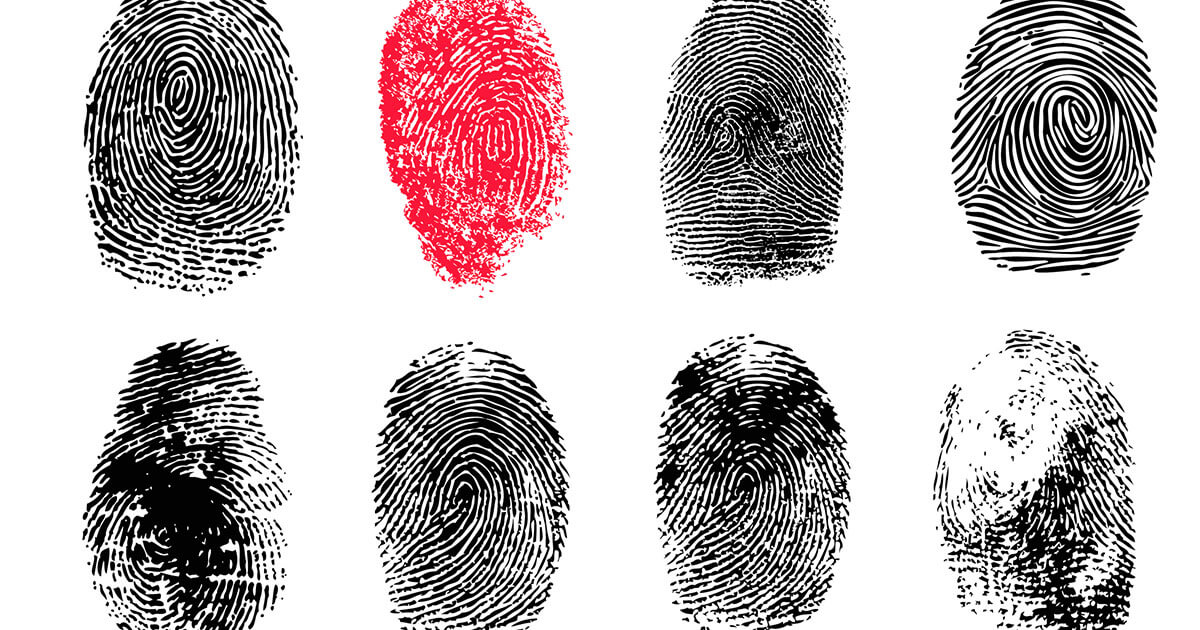 Browser fingerprints: the basics and protection options