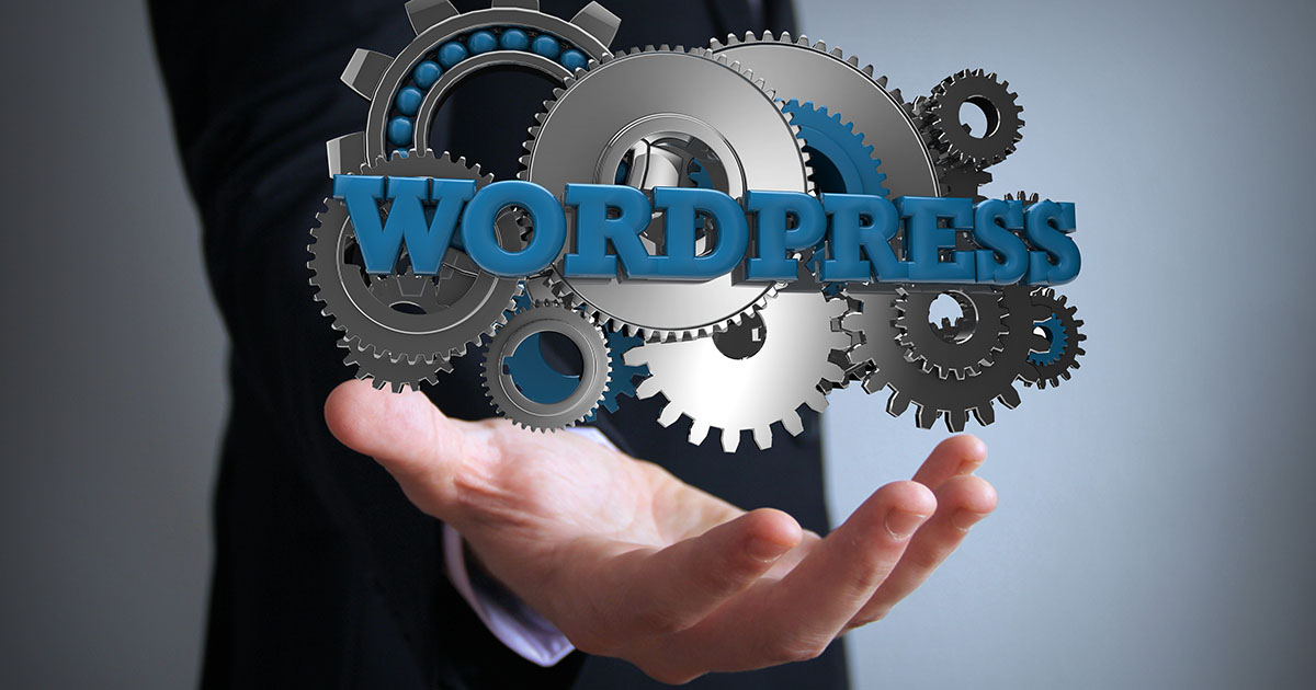 WordPress themes: The best designs for your website