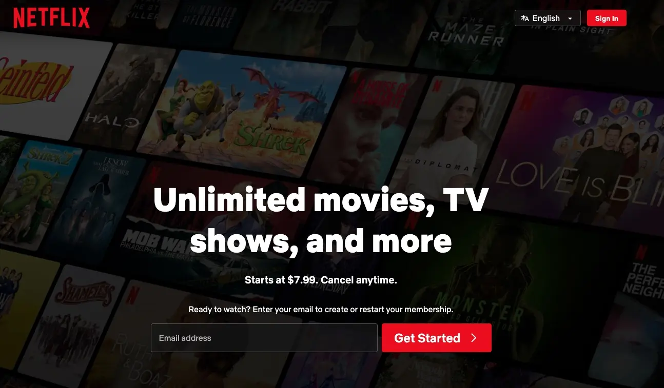 Image: Netflix landing page