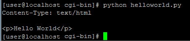 Image: Python Output