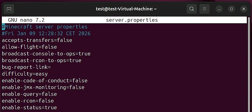 Image: Minecraft server on Linux default configuration in server.properties