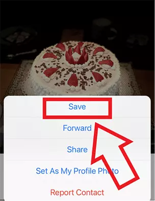 Image: iPhone screenshot of “Save” option after selecting a WhatsApp photo