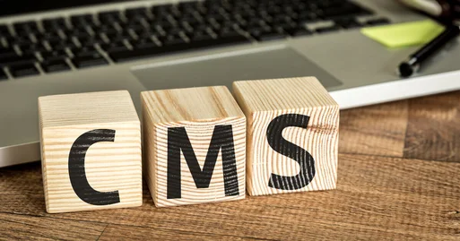 Image: What makes Plone an accessible and secure CMS for web projects?