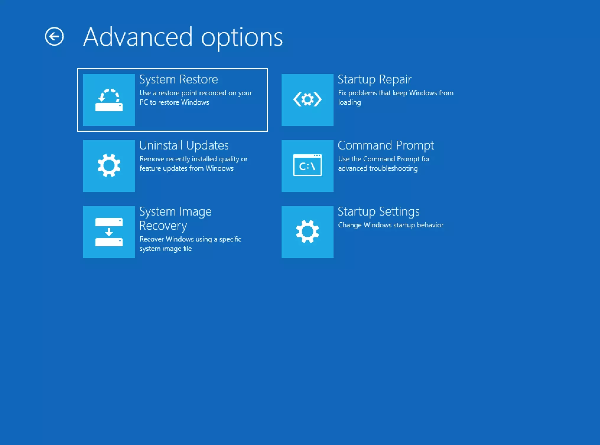 Boot Options menu with Windows