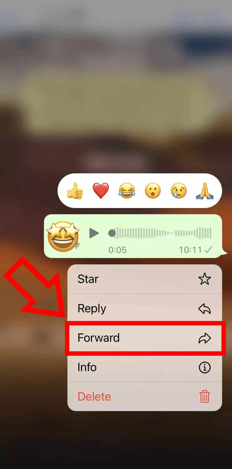 Image: iPhone screenshot of the “Forward” option in WhatsApp