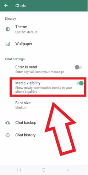 Image: Android screenshot, “Media visibility” enabled