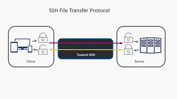 Image: Schematic representation of SFTP data transfer
