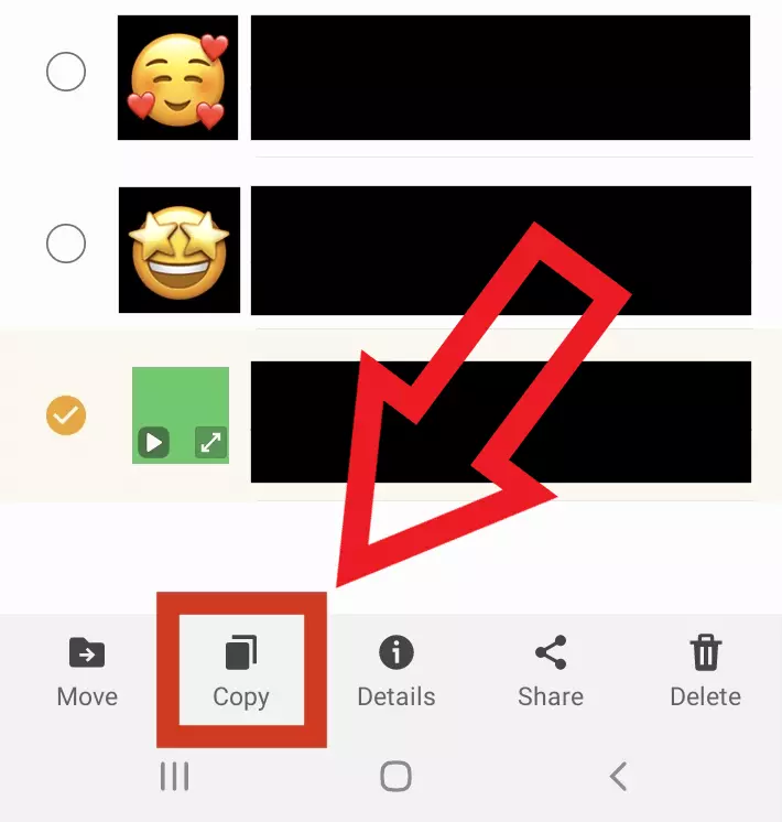 Image: Screenshot of Android folder “.Statuses” after selecting status video to download