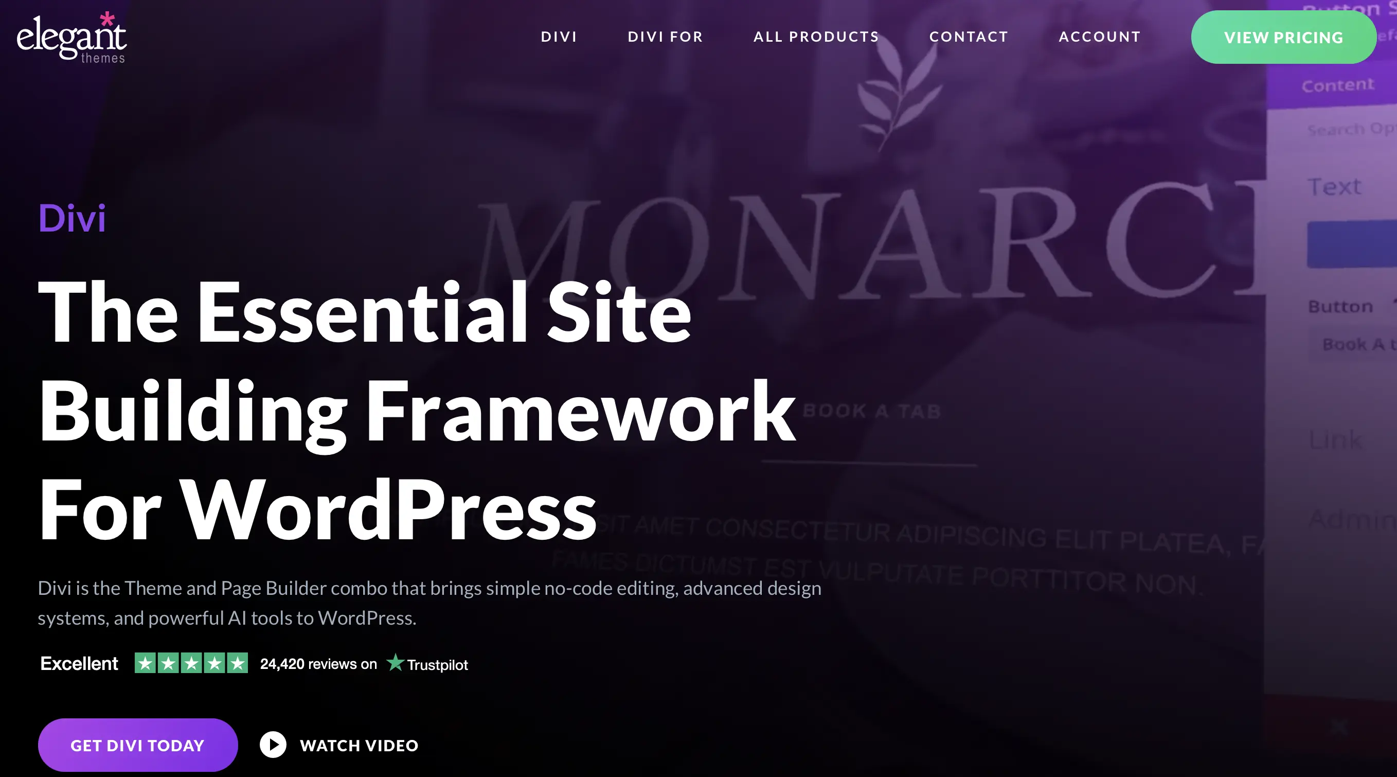 Image: WordPress template Divi by Elegant Themes