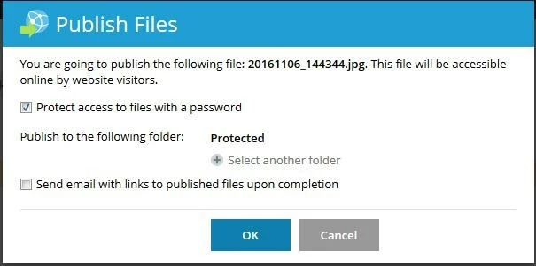 Image: Window for Plesk file sharing
