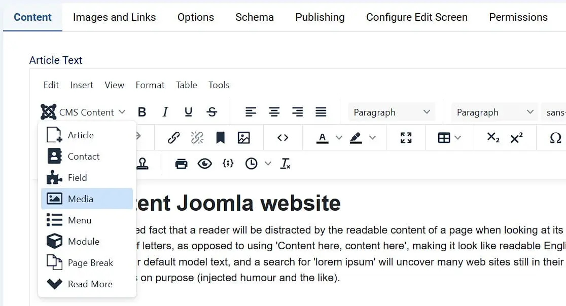 Joomla: Insert image in the TinyMCE editor Image: Joomla: Insert image in the TinyMCE editor
