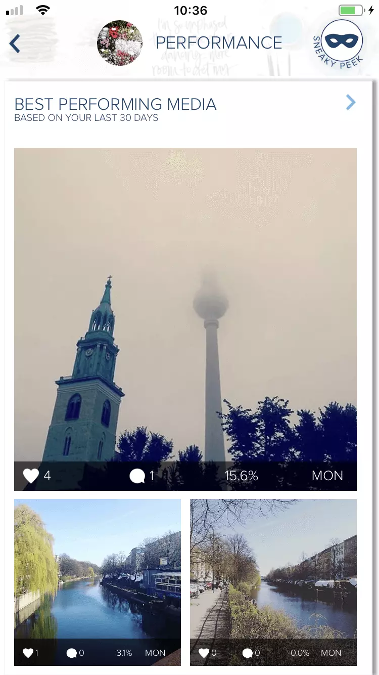 Performance section of the Instagram statistics app, Plann